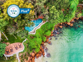 Отель The Monttra Pattaya - SHA Extra Plus  Паттайя